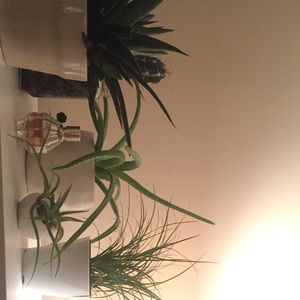 Meet your Posher, Martha